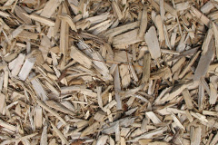 biomass boilers Tinhay